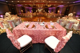 315577_10150284670182224_586657788_n