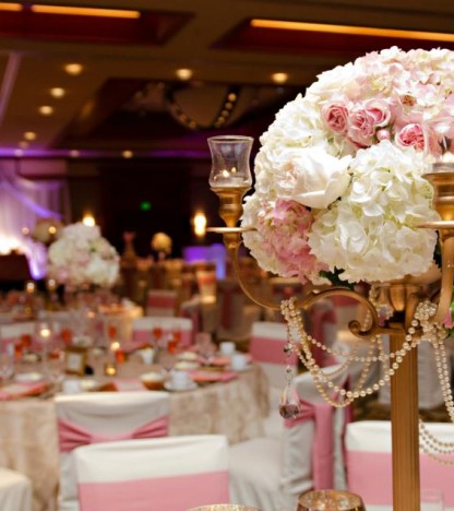 315896_10150284670722224_1162647452_n